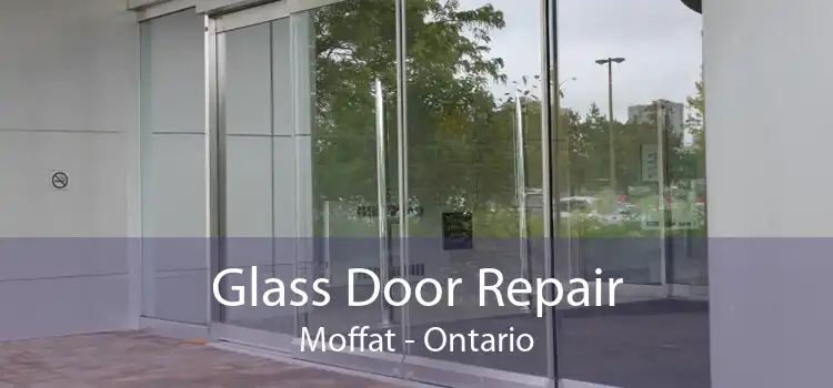 Glass Door Repair Moffat - Ontario