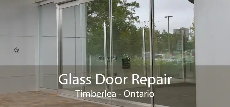 Glass Door Repair Timberlea - Ontario