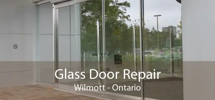 Glass Door Repair Wilmott - Ontario