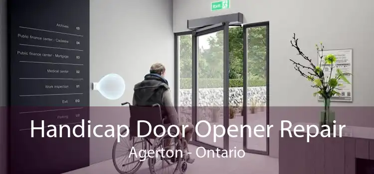 Handicap Door Opener Repair Agerton - Ontario