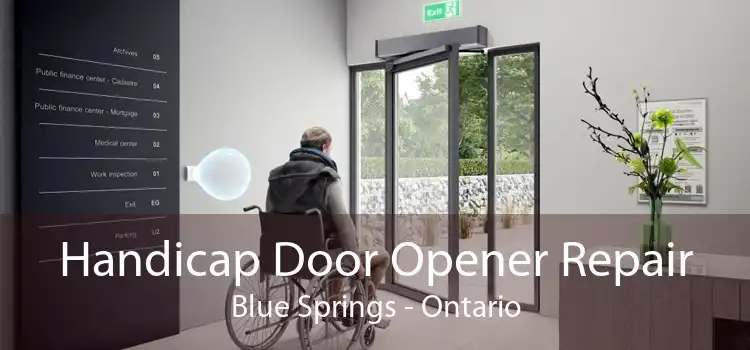 Handicap Door Opener Repair Blue Springs - Ontario