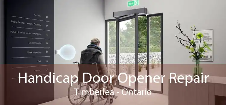 Handicap Door Opener Repair Timberlea - Ontario