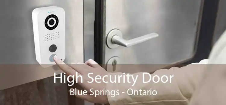 High Security Door Blue Springs - Ontario
