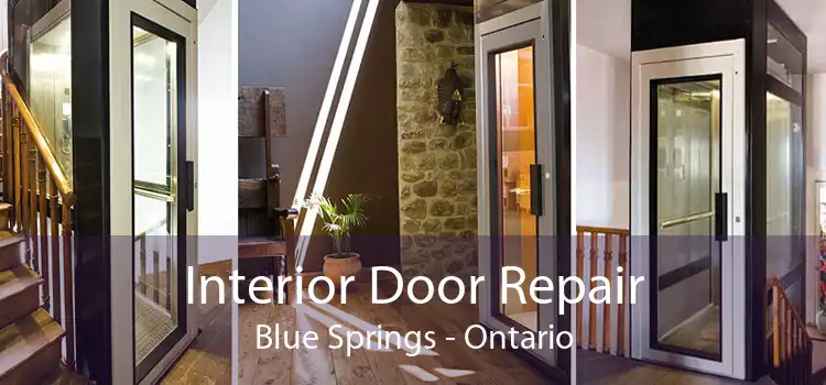 Interior Door Repair Blue Springs - Ontario