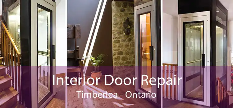 Interior Door Repair Timberlea - Ontario