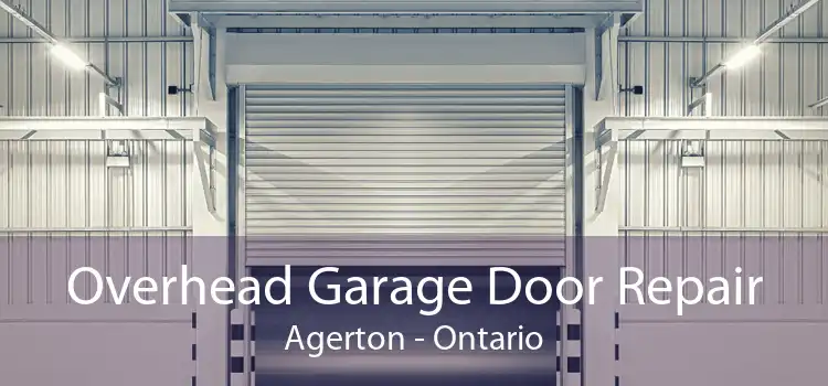 Overhead Garage Door Repair Agerton - Ontario