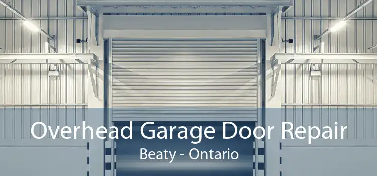 Overhead Garage Door Repair Beaty - Ontario