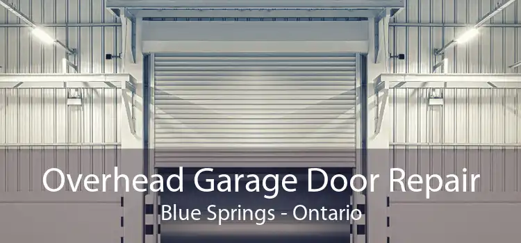 Overhead Garage Door Repair Blue Springs - Ontario