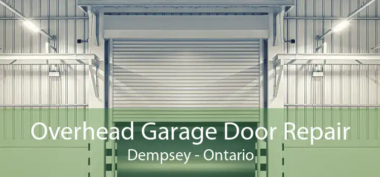 Overhead Garage Door Repair Dempsey - Ontario