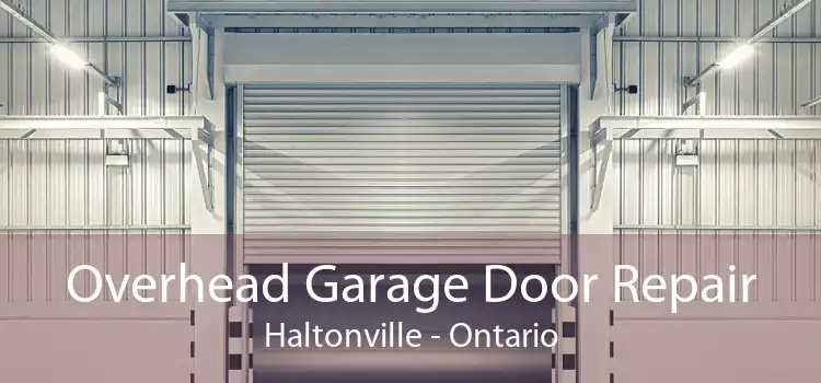 Overhead Garage Door Repair Haltonville - Ontario