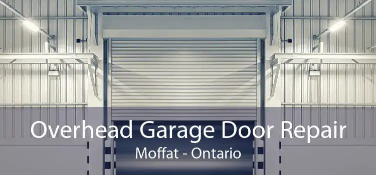 Overhead Garage Door Repair Moffat - Ontario