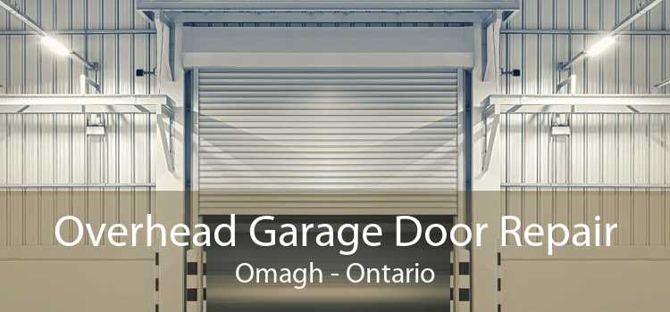 Overhead Garage Door Repair Omagh - Ontario