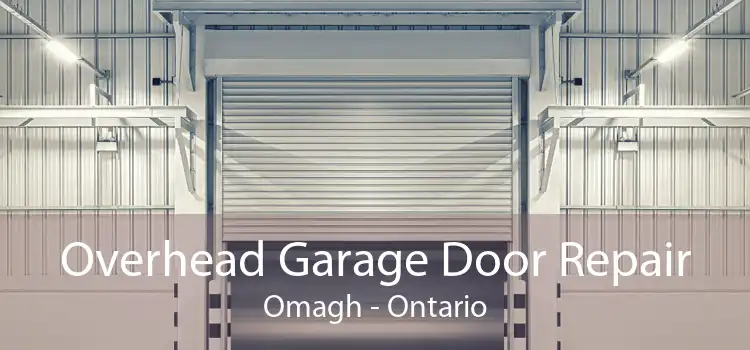 Overhead Garage Door Repair Omagh - Ontario