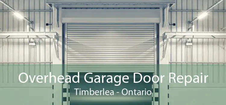 Overhead Garage Door Repair Timberlea - Ontario