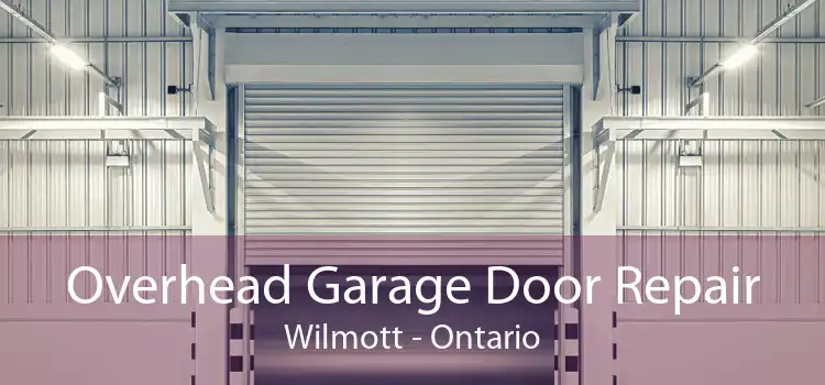 Overhead Garage Door Repair Wilmott - Ontario