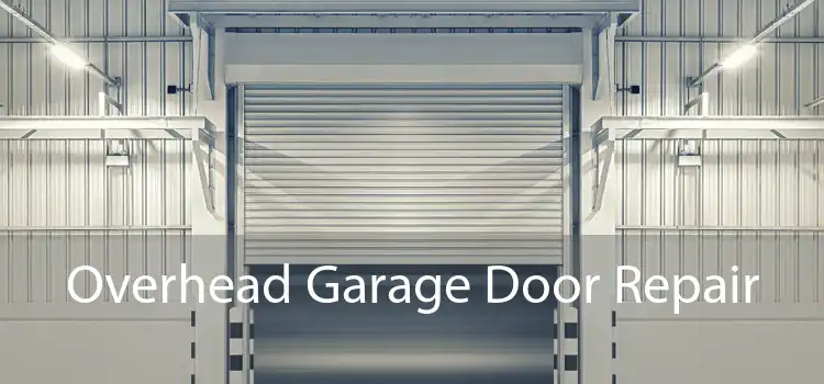 Overhead Garage Door Repair 