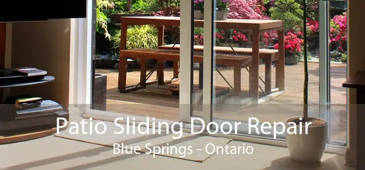 Patio Sliding Door Repair Blue Springs - Ontario