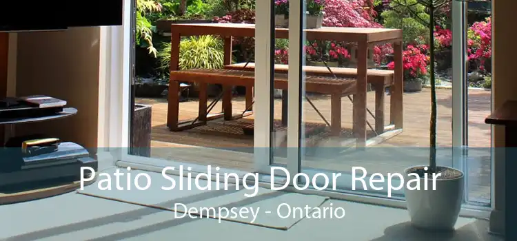 Patio Sliding Door Repair Dempsey - Ontario