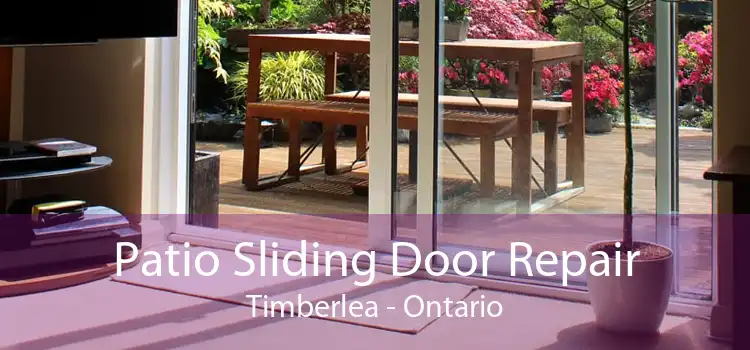 Patio Sliding Door Repair Timberlea - Ontario