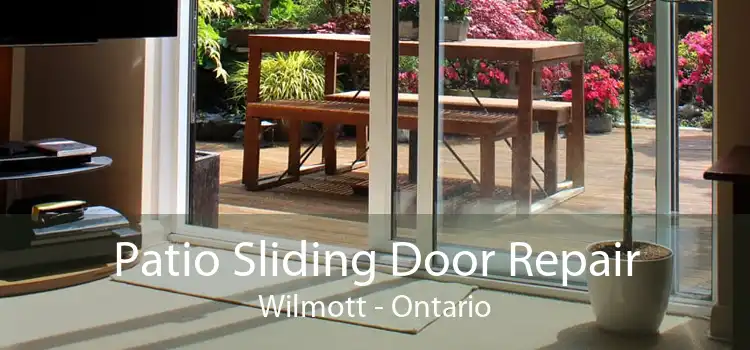 Patio Sliding Door Repair Wilmott - Ontario