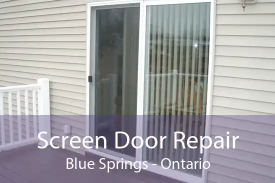 Screen Door Repair Blue Springs - Ontario