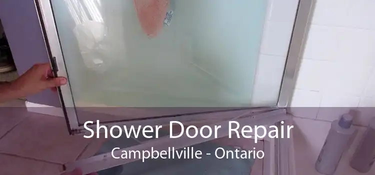 Shower Door Repair Campbellville - Ontario