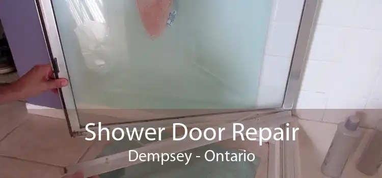Shower Door Repair Dempsey - Ontario