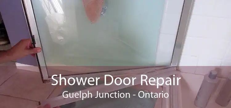 Shower Door Repair Guelph Junction - Ontario