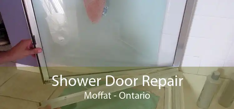 Shower Door Repair Moffat - Ontario