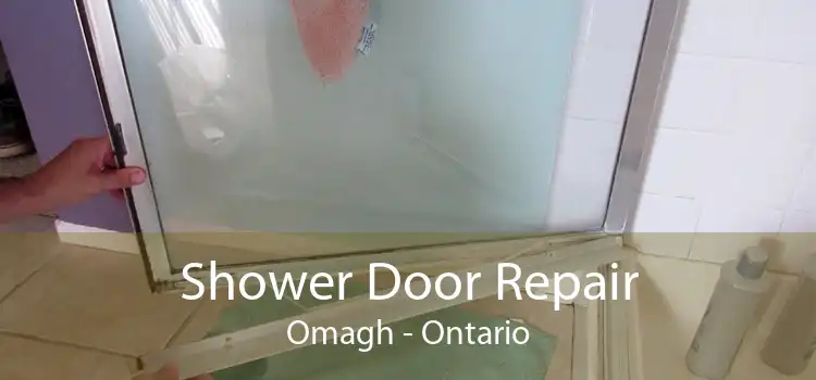 Shower Door Repair Omagh - Ontario
