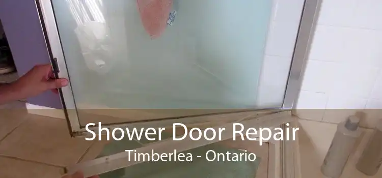 Shower Door Repair Timberlea - Ontario