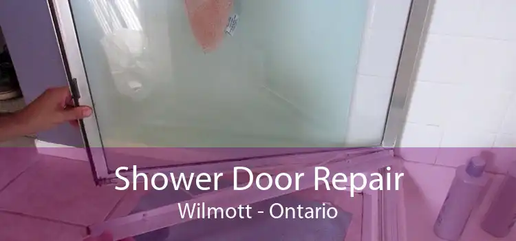 Shower Door Repair Wilmott - Ontario