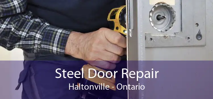 Steel Door Repair Haltonville - Ontario