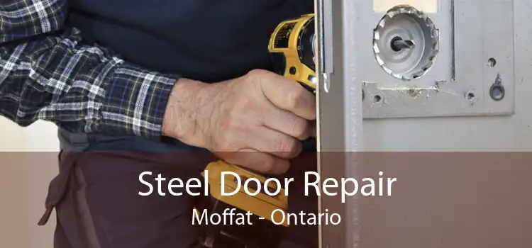 Steel Door Repair Moffat - Ontario
