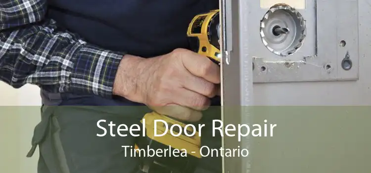 Steel Door Repair Timberlea - Ontario