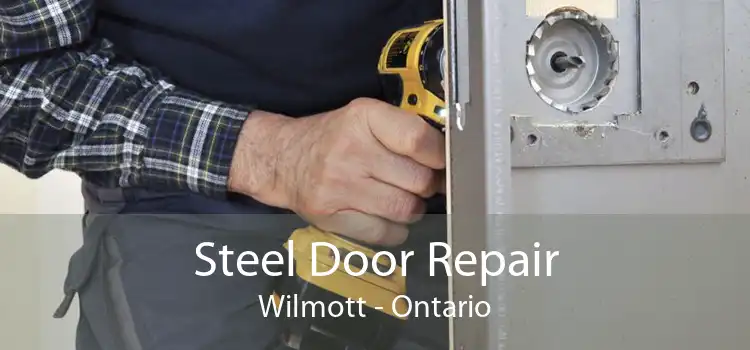 Steel Door Repair Wilmott - Ontario