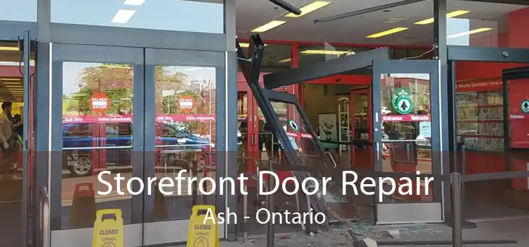 Storefront Door Repair Ash - Ontario