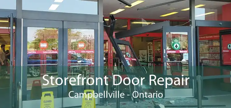 Storefront Door Repair Campbellville - Ontario