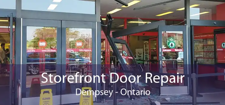 Storefront Door Repair Dempsey - Ontario