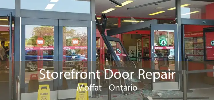 Storefront Door Repair Moffat - Ontario