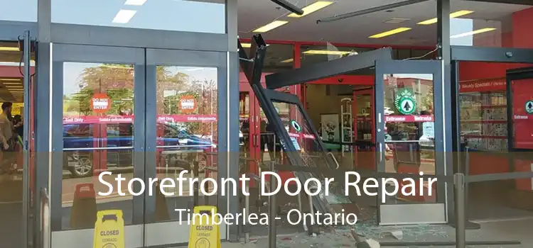 Storefront Door Repair Timberlea - Ontario