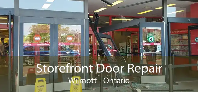 Storefront Door Repair Wilmott - Ontario