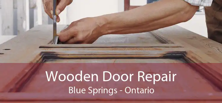 Wooden Door Repair Blue Springs - Ontario