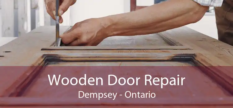 Wooden Door Repair Dempsey - Ontario